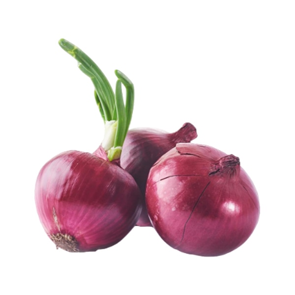 Onion hybrid varieties genus Allium - Image 3